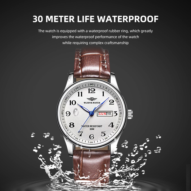 WLISTH Lüks Marka erkek saati  - Zen Luxury Watch incelemesi ve fiyatı